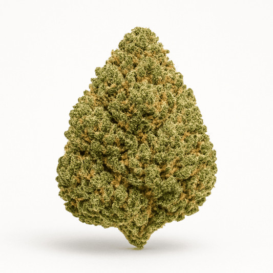 Green Crack THCA flower bud on a white background, showing dense earthy-green coloration, frosty trichomes, and rugged structure