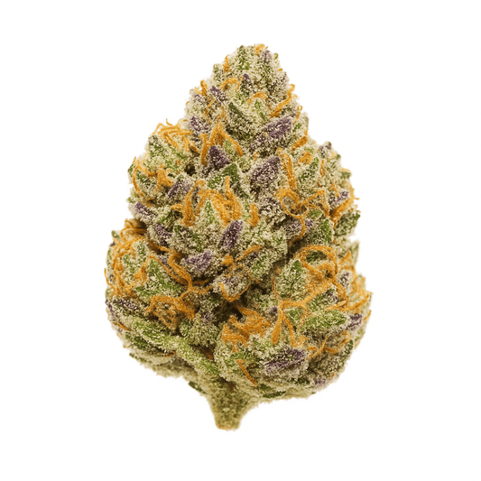 Pink Nebula THCA flower bud on a white background, showing bright citrus-berry coloration with frosty trichomes