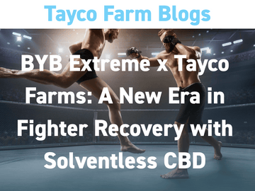 Two bare-knuckle fighters in a ring with overlay text promoting Tayco Farms and BYB Extreme’s CBD recovery partnership.