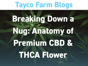 Breaking Down a Nug: Anatomy of Premium CBD & THCA Flower