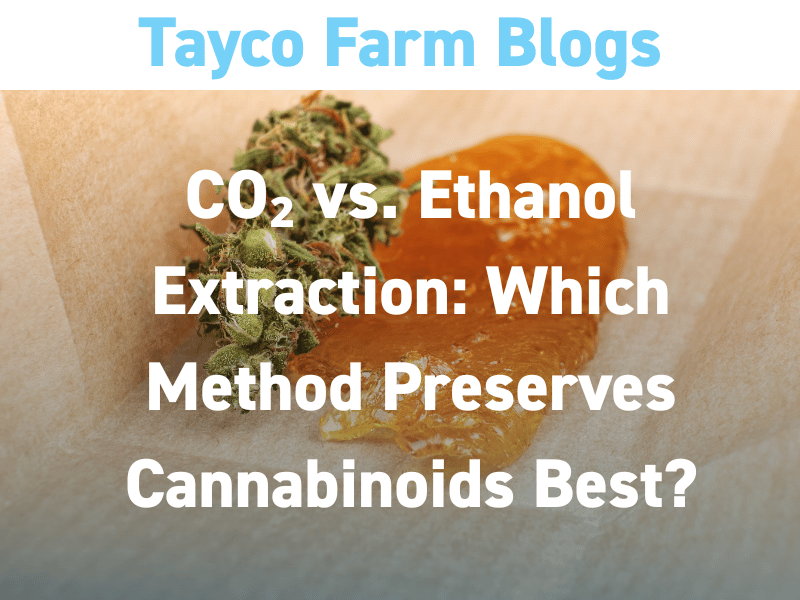 Close-up of hemp bud and rosin on parchment paper with blog title overlay: CO₂ vs. Ethanol Extraction – Which Method Preserves Cannabinoids Best?