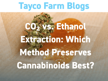 Close-up of hemp bud and rosin on parchment paper with blog title overlay: CO₂ vs. Ethanol Extraction – Which Method Preserves Cannabinoids Best?
