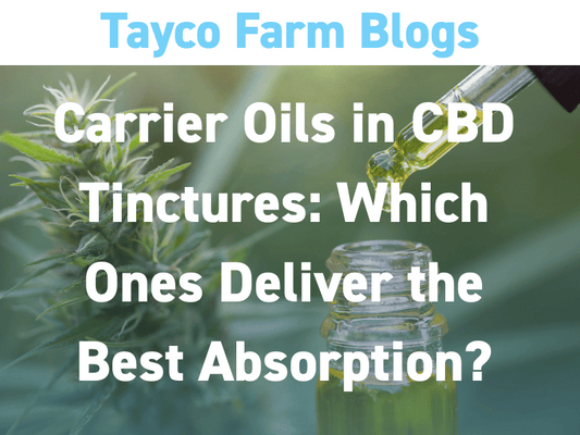 CBD oil dropper above a tincture bottle with text overlay: Carrier Oils in CBD Tinctures – Which Ones Deliver the Best Absorption?