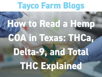 How to Read a Hemp COA in Texas blog cover showing a cannabis leaf held with lab tools in the background, illustrating THCa, Delta-9, and total THC testing and analysis