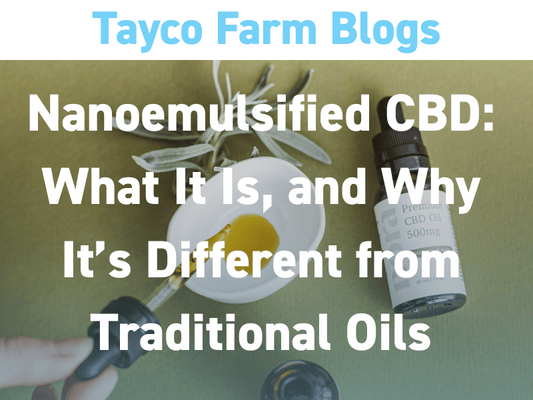 CBD oil bottle with dropper surrounded by softgels and a daisy, with text: Nanoemulsified CBD – What It Is, and Why It’s Different from Traditional Oils