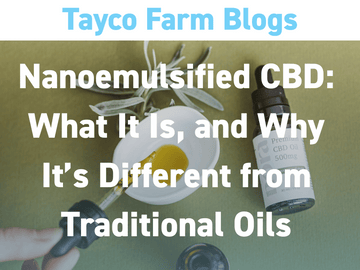 CBD oil bottle with dropper surrounded by softgels and a daisy, with text: Nanoemulsified CBD – What It Is, and Why It’s Different from Traditional Oils
