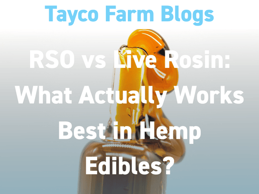 RSO vs Live Rosin for hemp edibles comparison showing cannabis extract texture and potency differences for gummies and infused products