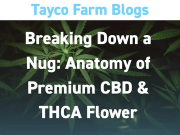 Premium CBD and THCA flower anatomy blog cover with hemp plants