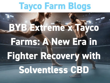 BYB Extreme and Tayco Farms CBD partnership blog cover with fighters in a ring