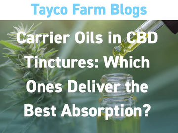 CBD tincture carrier oils blog cover with a dropper bottle