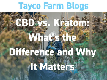CBD versus kratom blog cover with hemp plants