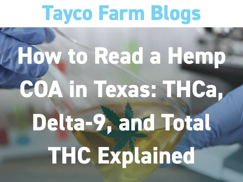 Reading a Texas hemp COA blog cover with laboratory tools