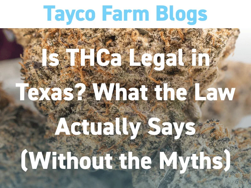 THCA in Texas blog cover with hemp flower