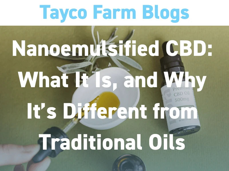Nanoemulsified CBD blog cover with tincture bottles and softgels