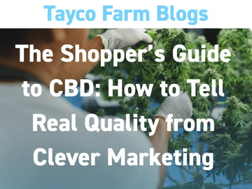 CBD quality shopper guide blog cover with hemp plants