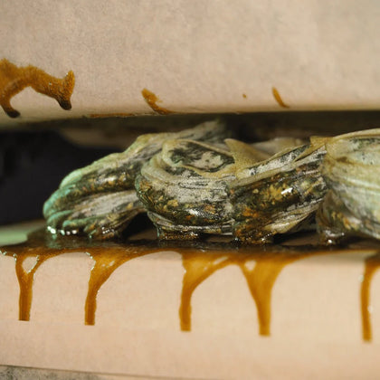 rosin