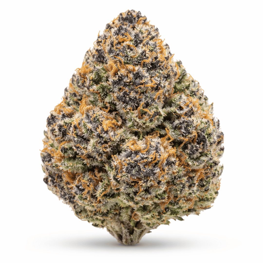 Pandemic Flower