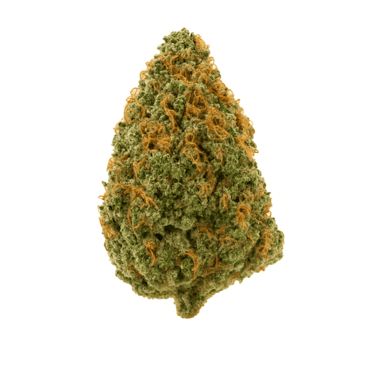 Big Apple Runtz THCa flower bud on a white background, dense green nug with orange hairs and frosty trichomes.