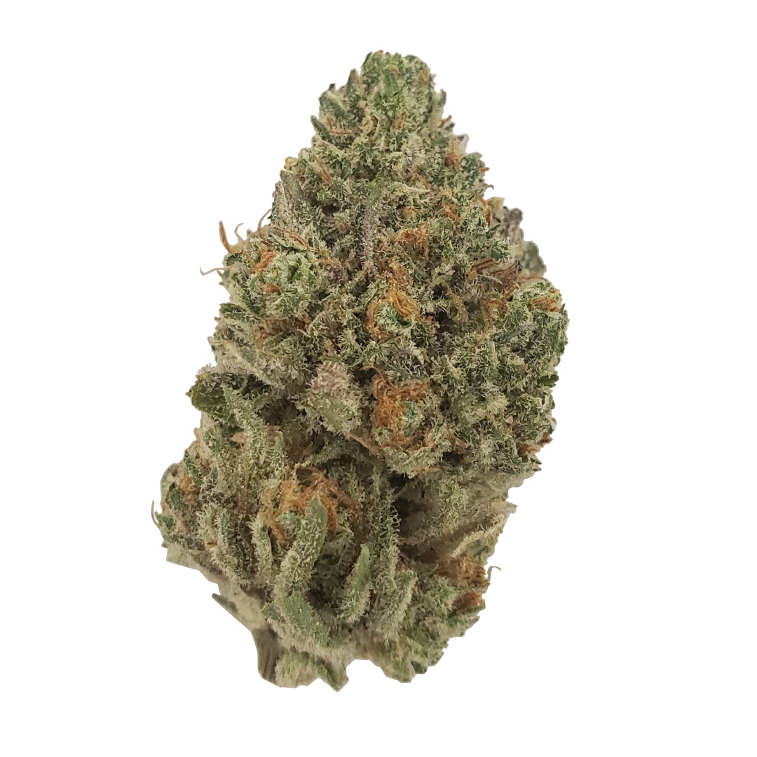 Grandpa’s Hash Plant (28.993%) THCa Flower