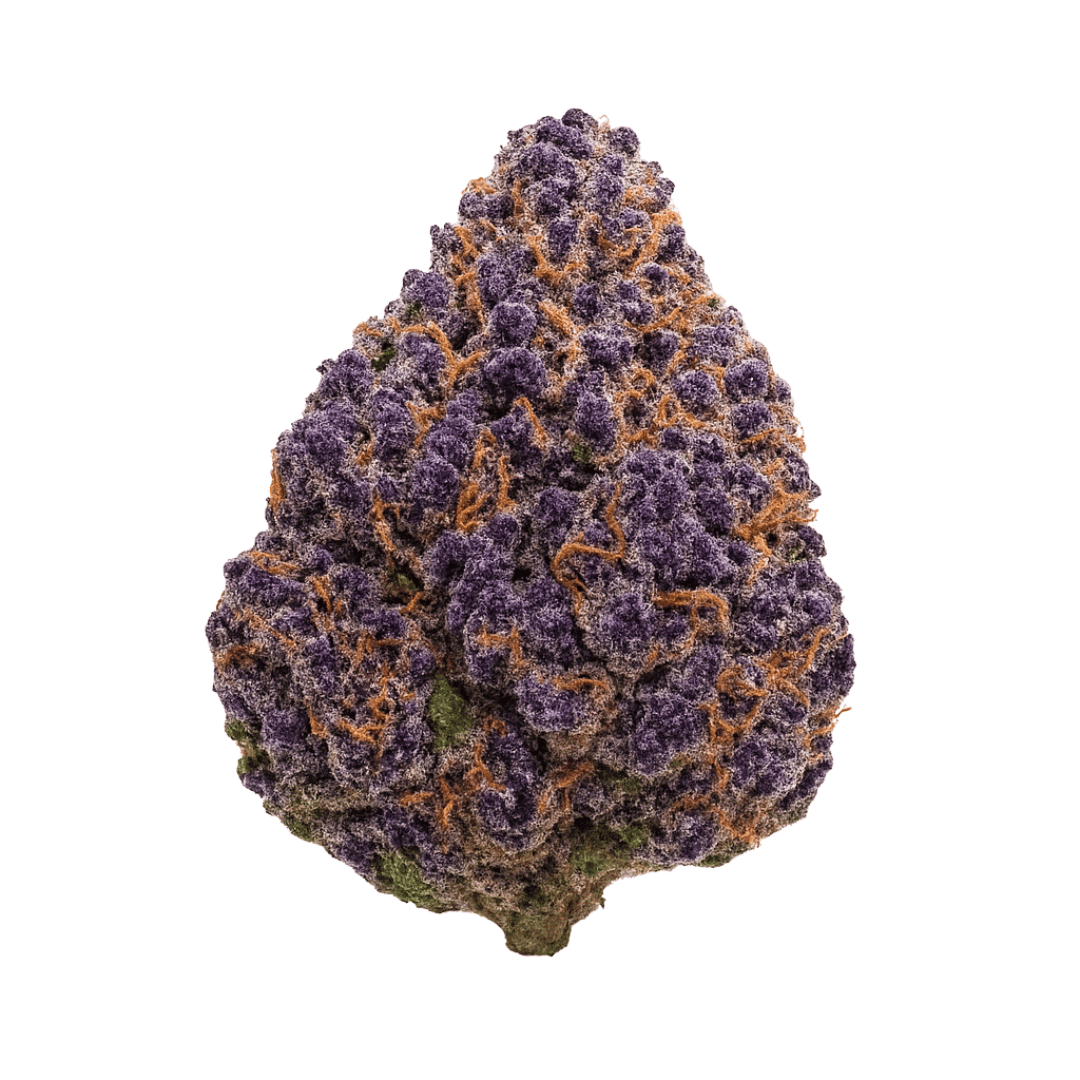 Grape Head THCA flower bud on a white background, showing deep purple tones, frosty trichomes, and grape-candy coloration