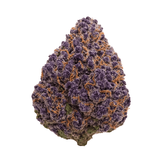 Grape Head THCA flower bud on a white background, showing deep purple tones, frosty trichomes, and grape-candy coloration