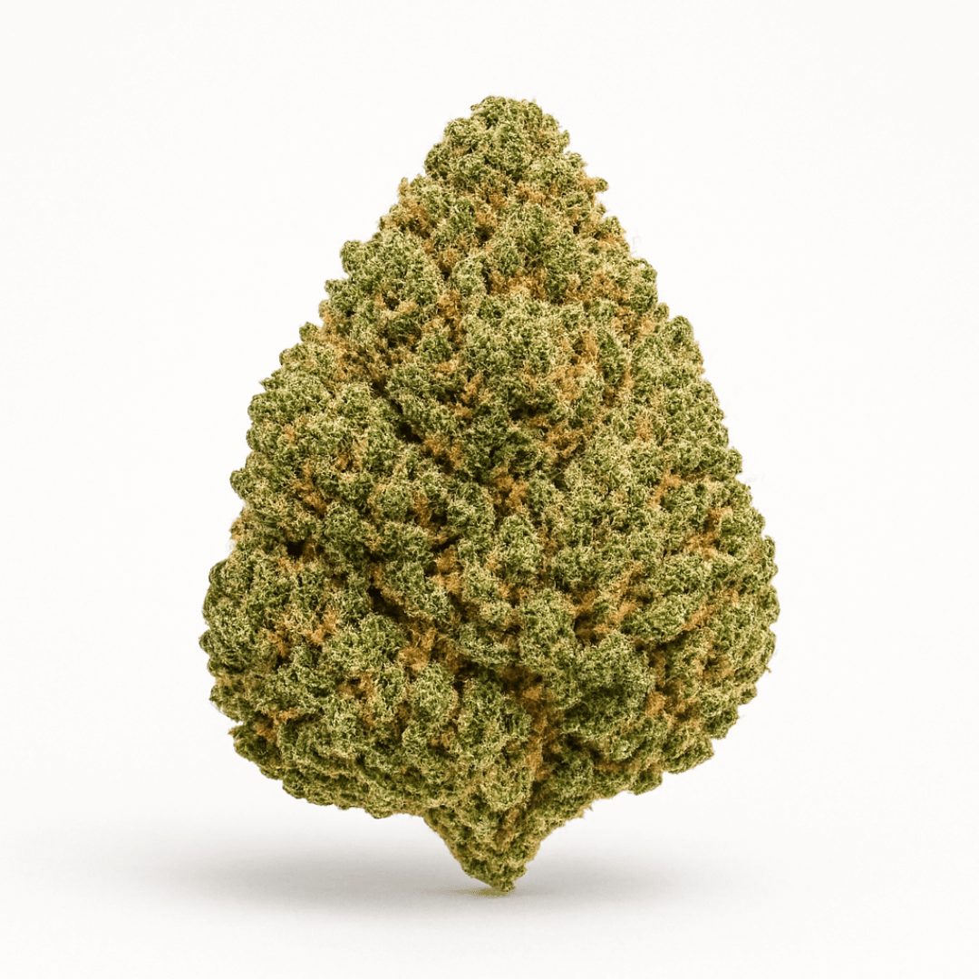 Green Crack THCA flower bud on a white background, showing dense earthy-green coloration, frosty trichomes, and rugged structure
