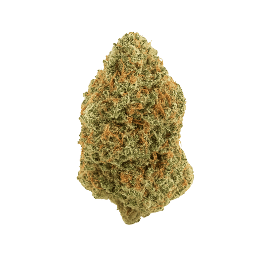 Hippie Crippler THCA flower bud on a white background, showing frosty trichomes and bright orange pistils