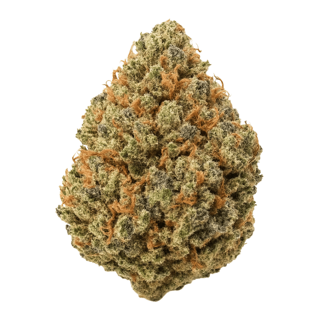 Peanut Butter Breath THCA flower bud on a white background, showing dense structure with nutty, earthy coloration and frosty trichomes