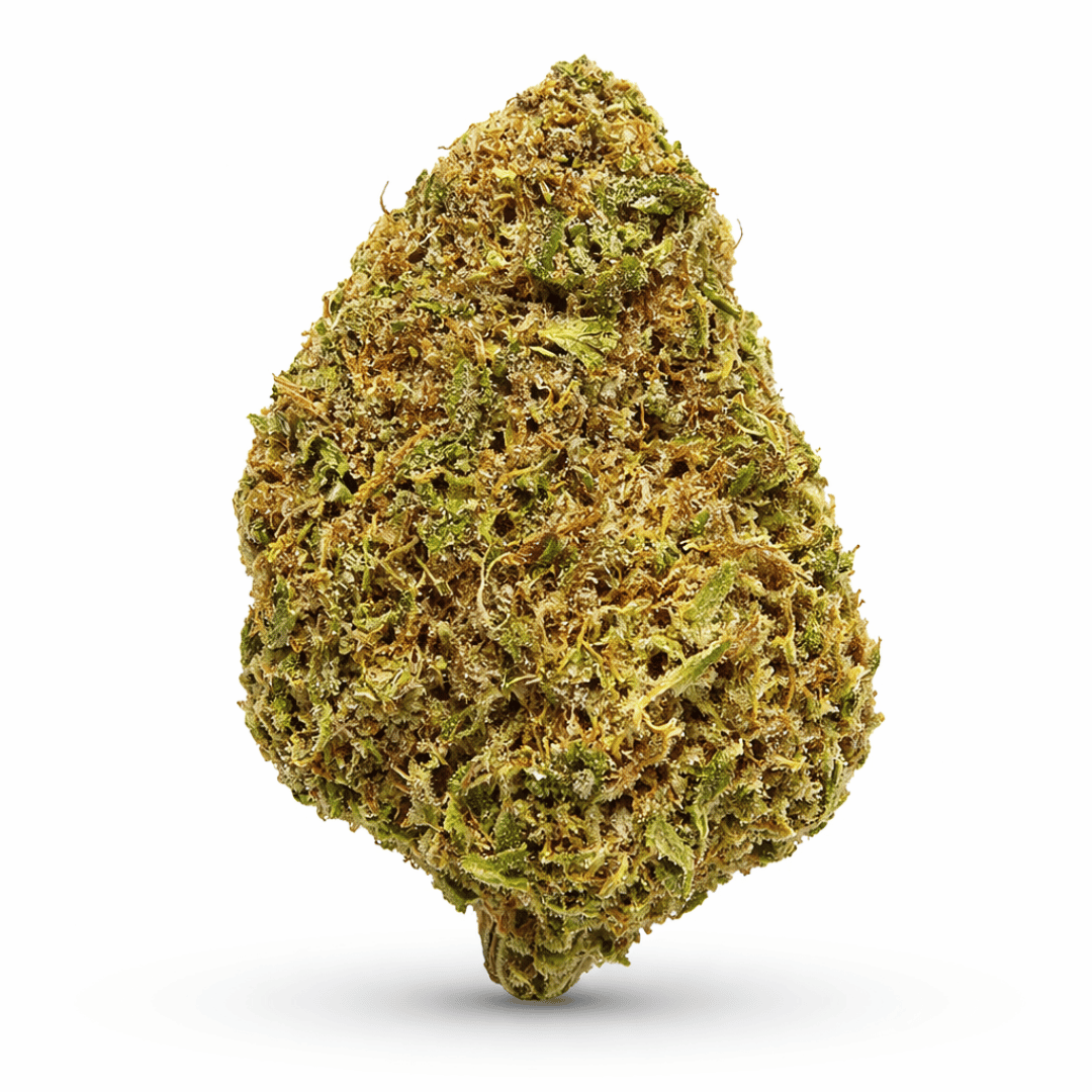 Blue Dream Flower bud on a white background