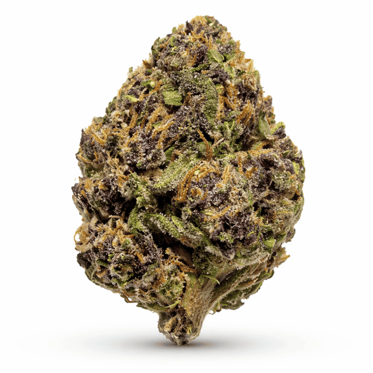 Purple GMO Flower bud on a white background